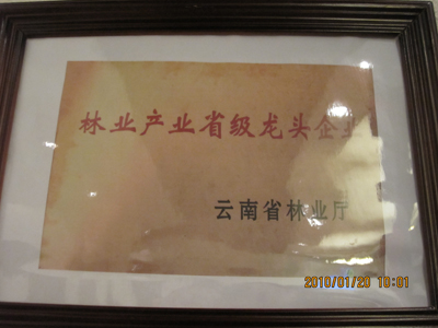 企业荣誉