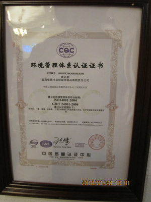 企业荣誉