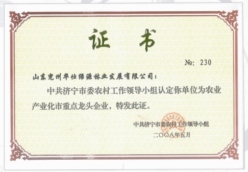 企业荣誉