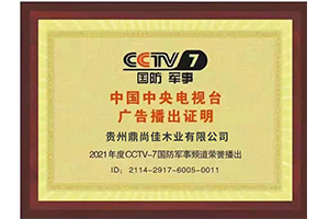 CCTV-7