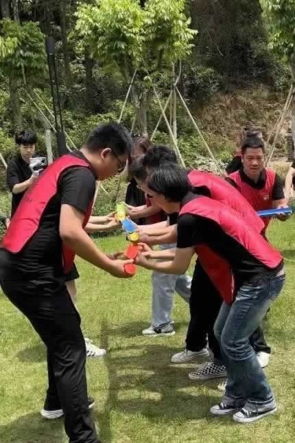 金骑士木门