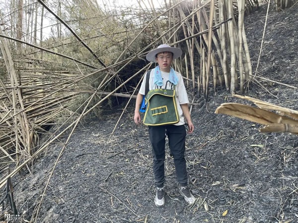 天渝美木门
