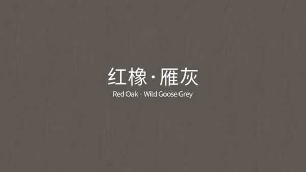 梦天木门