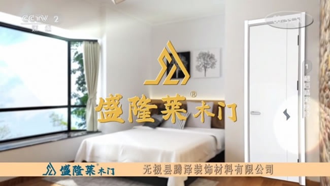 盛隆莱木门，开启全屋定制新境界